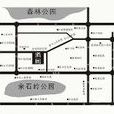滿園 滿園