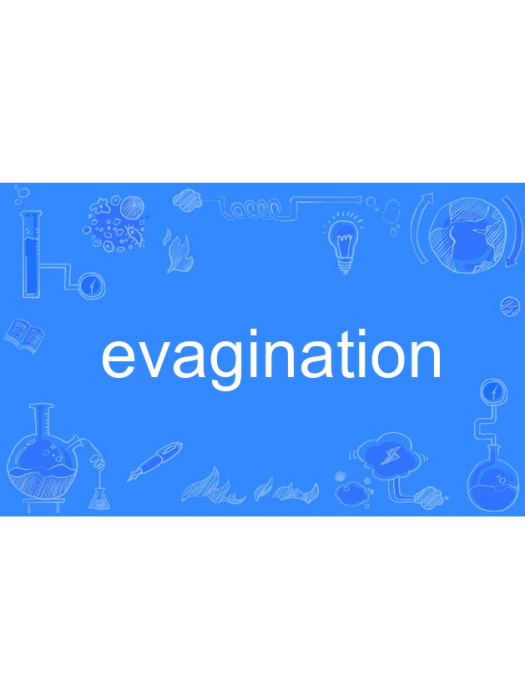 evagination evagination