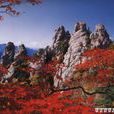 雪岳山 雪岳山
