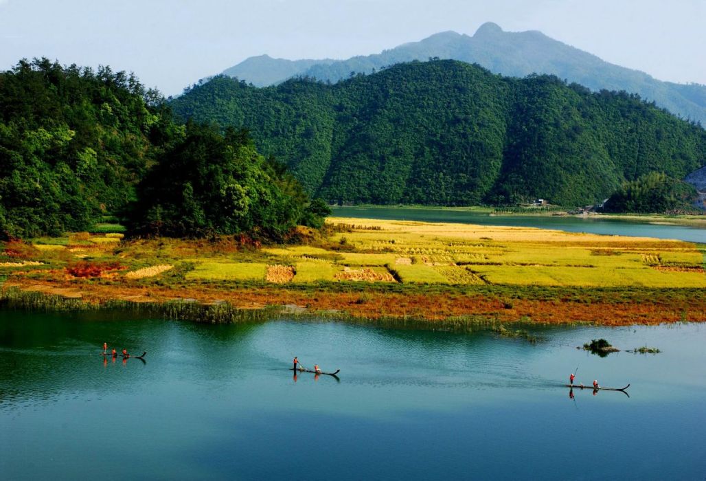 林木河村 林木河村