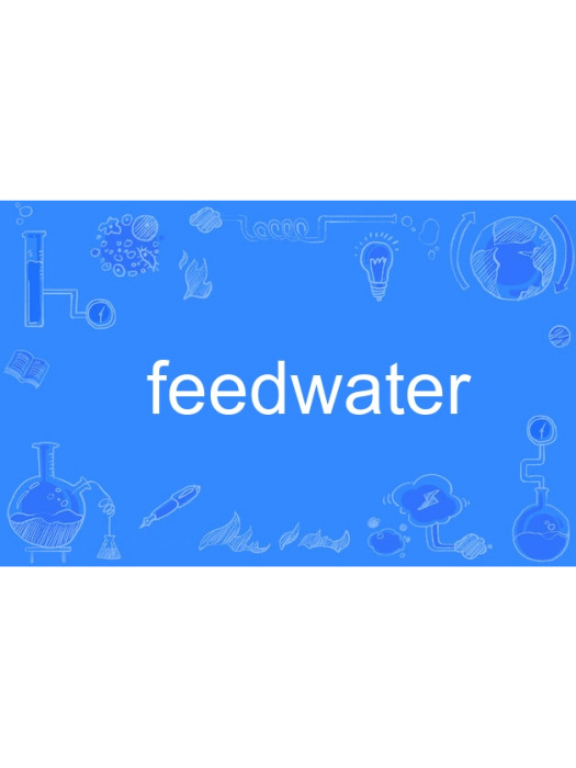 feedwater feedwater