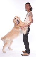 靈犬奇緣 靈犬奇緣