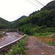 徐岙村(浙江省溫州市泰順縣徐岙村)