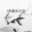 VR真實次元 VR真實次元