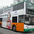 新巴796C線 新巴796C線