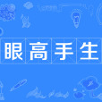 眼高手生 眼高手生