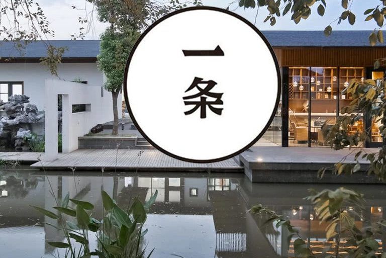 一條2017 一條2017