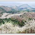 麒麟山(廣東省封開縣麒麟山)