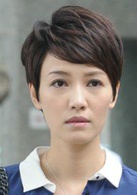 忠奸人(2014年TVB電視劇)