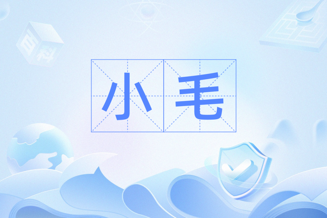 小毛(漢語詞語) 小毛(漢語詞語)