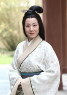 孔雀東南飛(中國2009年王文杰執導電視劇)