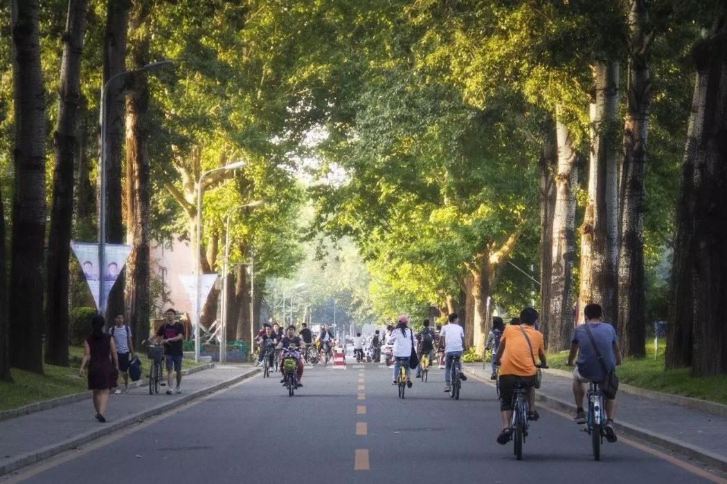 清華路(中國浙江省金華市東陽市境內道路) 清華路(中國浙江省金華市東陽市境內道路)