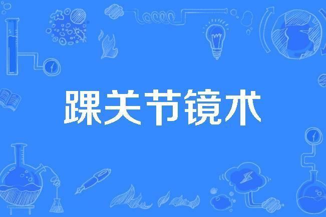 踝關節鏡術 踝關節鏡術