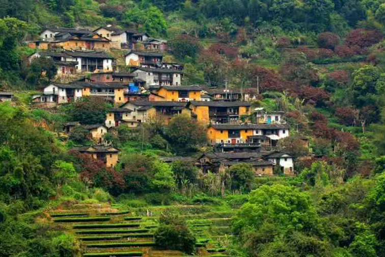 內枋村 內枋村