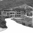 蘇內村 蘇內村
