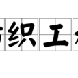 紡織工程 紡織工程