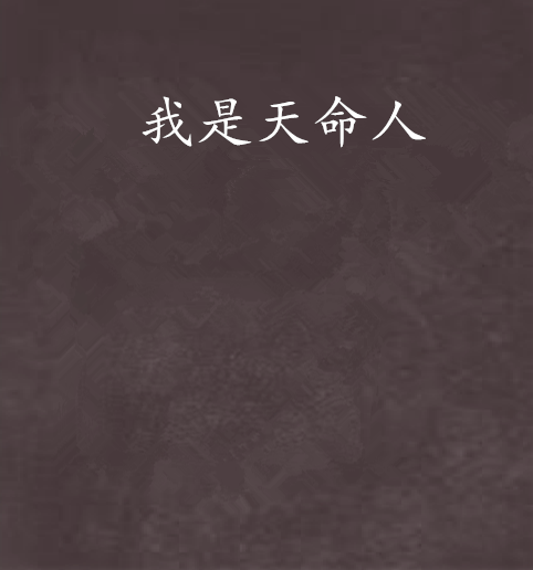 我是天命人 我是天命人