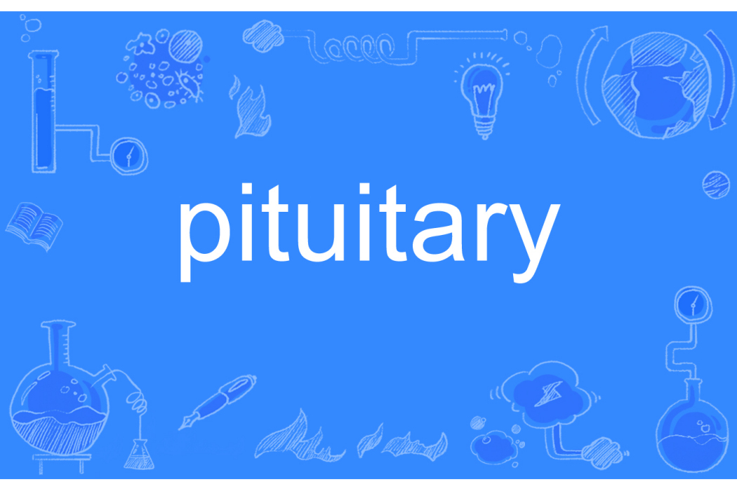 pituitary pituitary