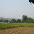 廖家村(湖南省郴州市桂陽縣歐陽海鎮下轄村) 廖家村(湖南省郴州市桂陽縣歐陽海鎮下轄村)