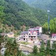 湍口村 湍口村