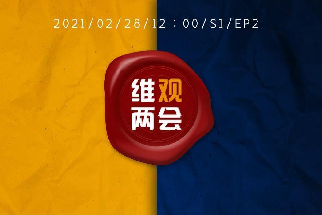 維觀兩會