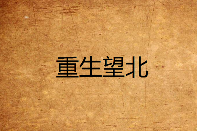 重生望北