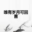 唯有歲月可回首 唯有歲月可回首