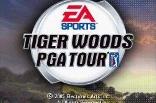 泰戈·伍茲高爾夫PGA巡迴賽2005