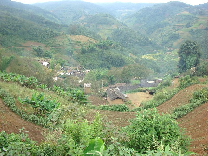 杞木林村(雲南昌寧縣田園鎮下轄村) 杞木林村(雲南昌寧縣田園鎮下轄村)