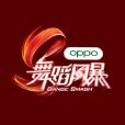 舞蹈風暴(湖南衛視原創舞蹈電視競技節目) 舞蹈風暴(湖南衛視原創舞蹈電視競技節目)