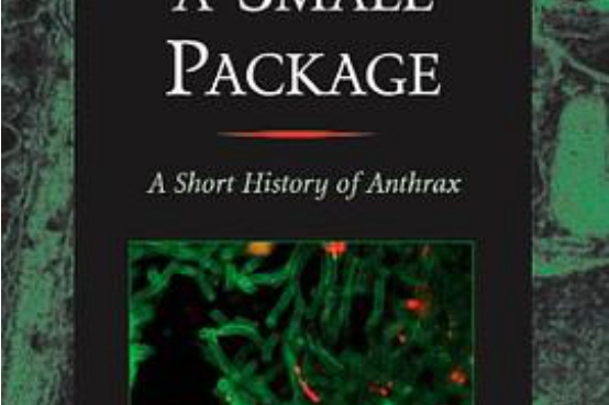 Death in a Small Package Death in a Small Package