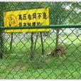 動物園圍欄