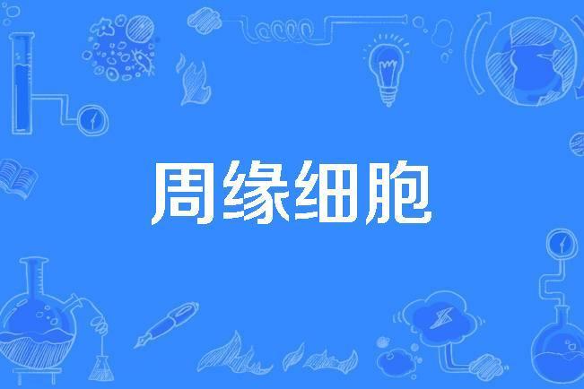 周緣細胞 周緣細胞