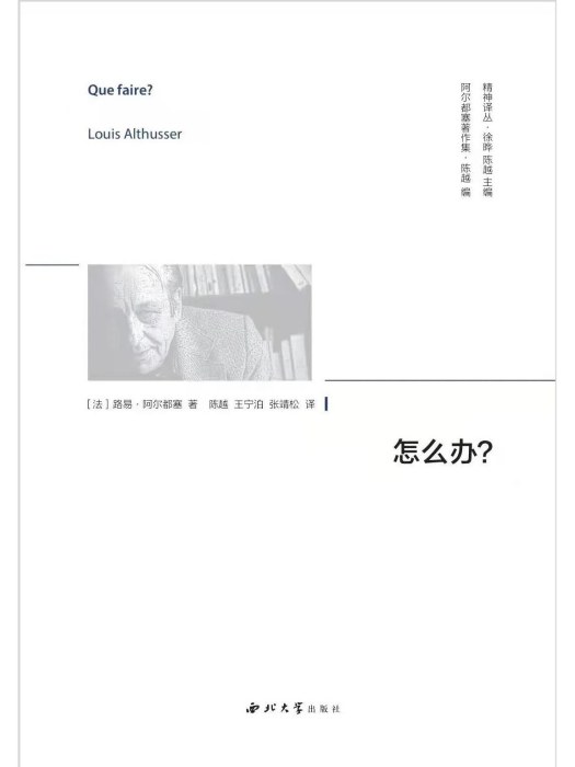 怎么辦?(2023年西北大學出版社出版的圖書) 怎么辦?(2023年西北大學出版社出版的圖書)