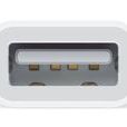 蘋果Lightning to VGA Adapter