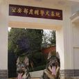 昆明犬 昆明犬