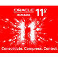 Oracle 11g 簡化版 Oracle 11g 簡化版