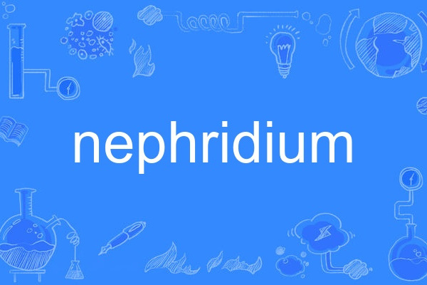 nephridium nephridium