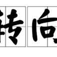 轉向 轉向