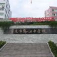 重慶市黔江中學校(黔江中學)