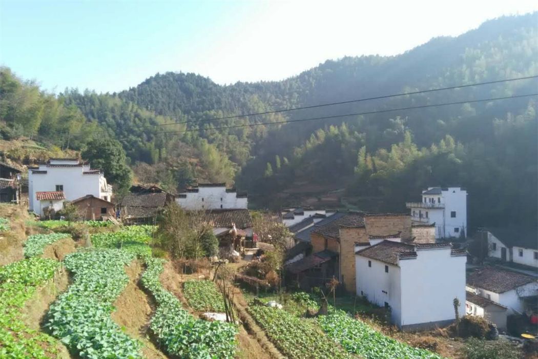 汪畬田 汪畬田
