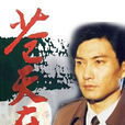 蒼天在上(1995年陳寰執導的電視劇)