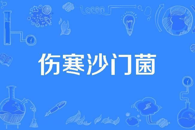 傷寒沙門菌 傷寒沙門菌