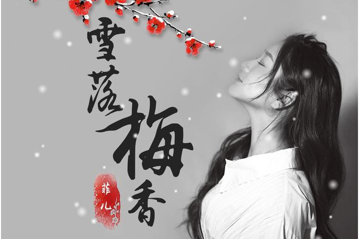 雪落梅香 雪落梅香
