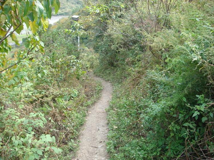 積娃村 積娃村