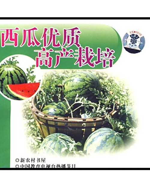 西瓜優質高產栽培(VCD)