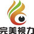 完美視力 完美視力