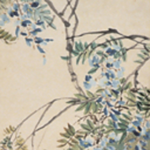 金紹城