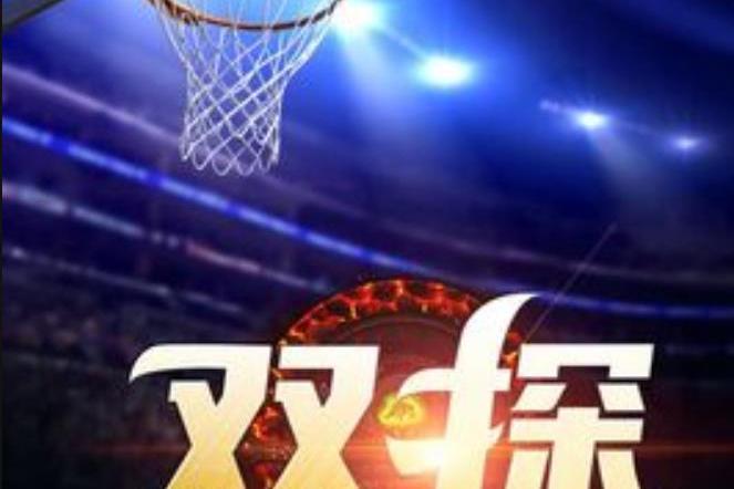 雙探(項三省所著小說)