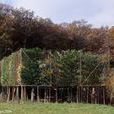 綠色建設